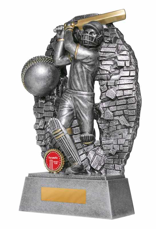 Breaking Down Barriers-Batter Male