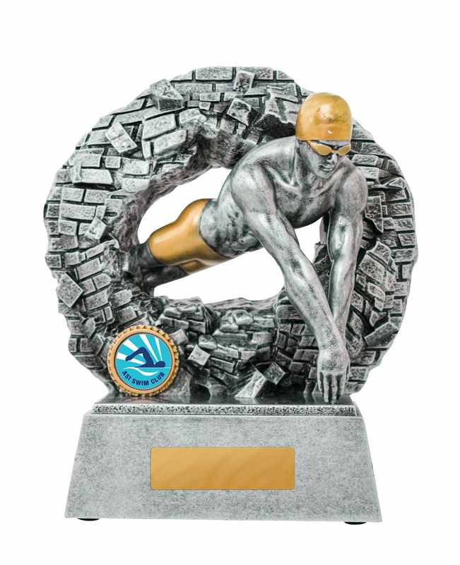 Breaking Down Barriers-Swimming Male