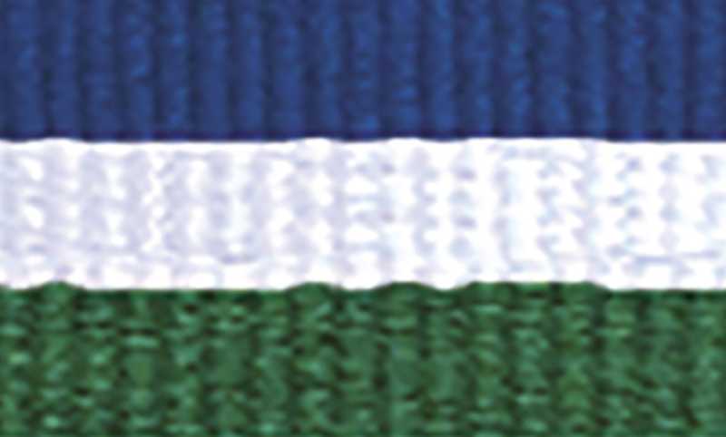 Blue White Green Ribbon