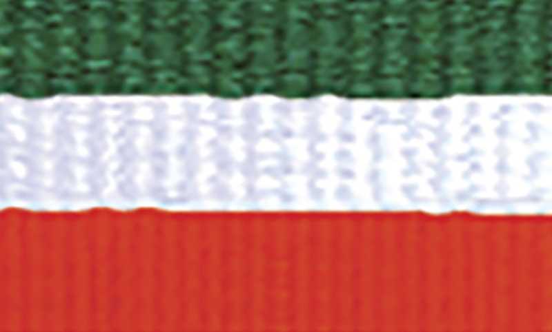 Green White Orange Ribbon