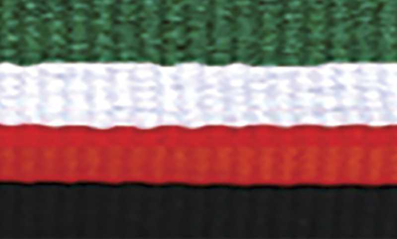 Green White Red Black Ribbon