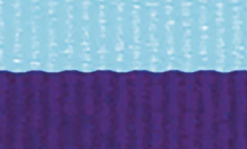 L.Blue Purple Ribbon