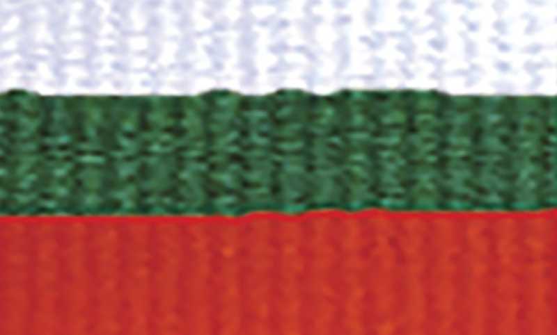 White Green Red Ribbon