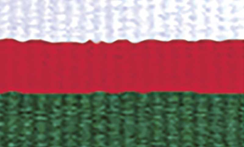 White Red Green Ribbon