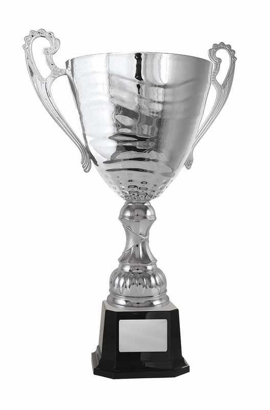 Silver Metal Cup 277mm