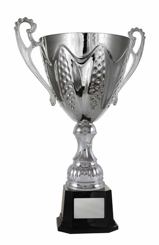 Silver Metal Cup 277mm