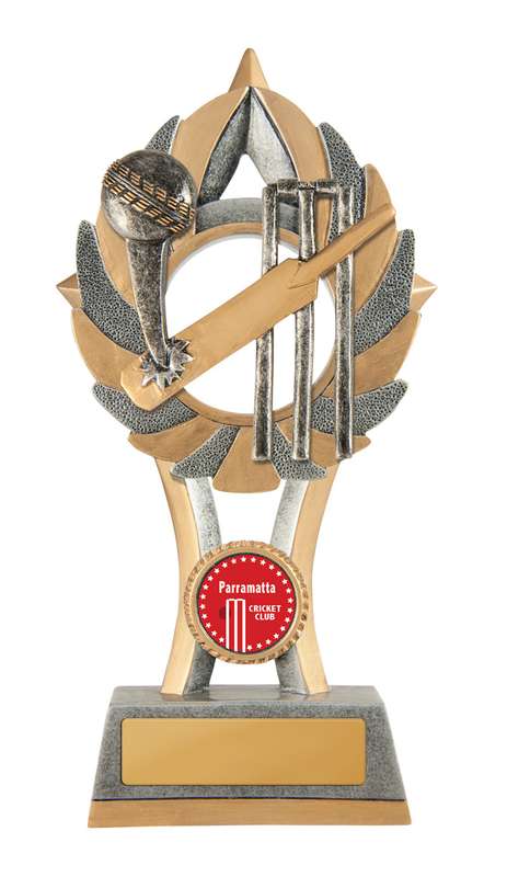 EziRez FIN Series – Cricket Batsman