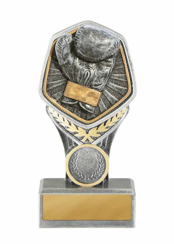 Boxing Trophy 140mm