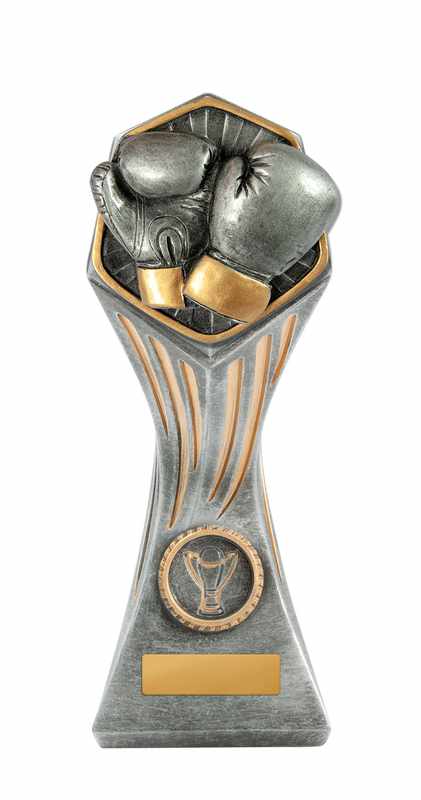 Boxing Gladiator Trophy 200mm