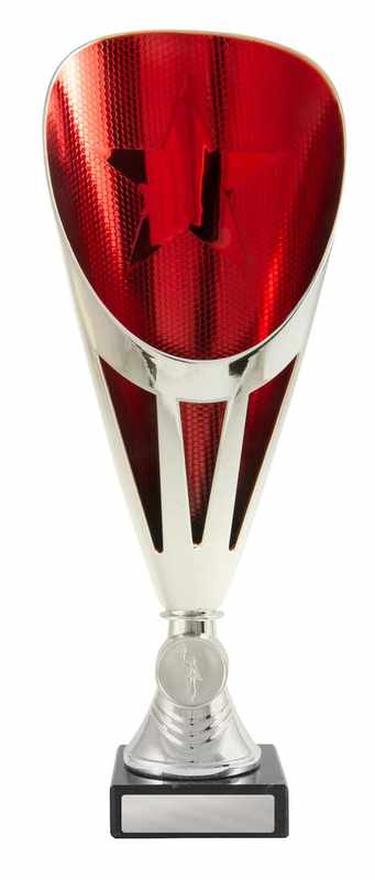 Dance Silver Cup 290mm