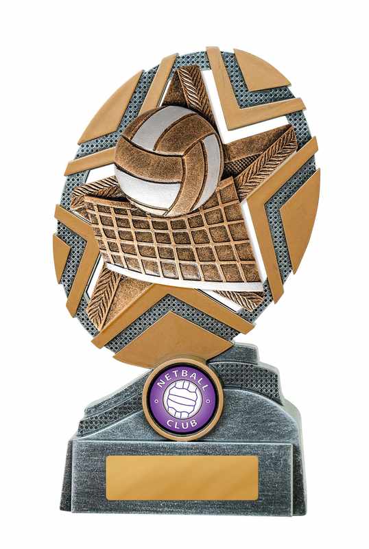 Starburst Stand Volleyball