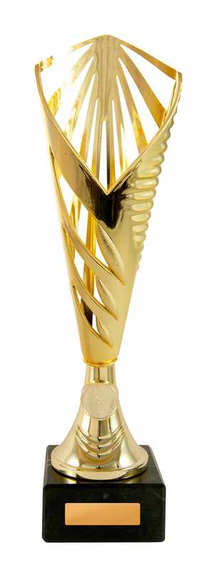Aerius Cup