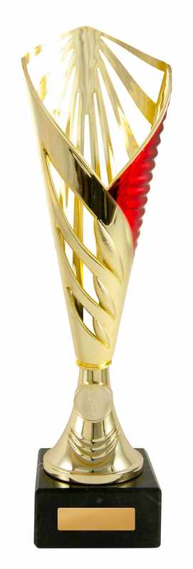 Aerius Cup