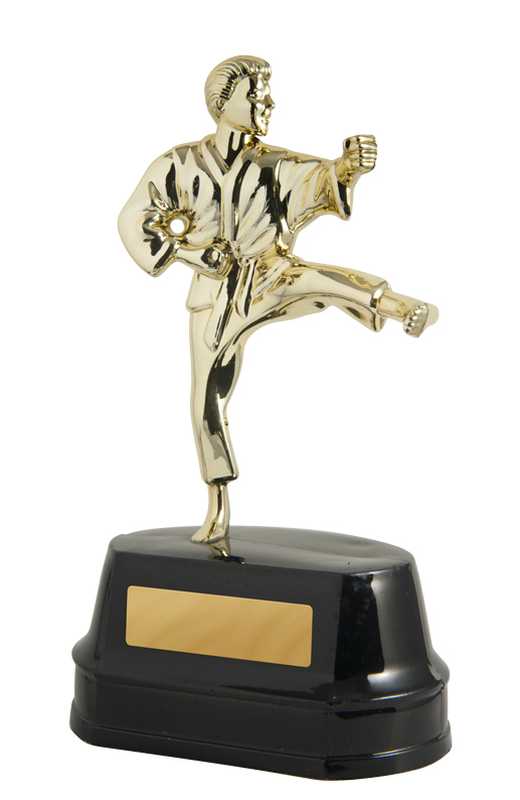 One piece figurine on base Karate Male Martial Arts Trophy 209mm