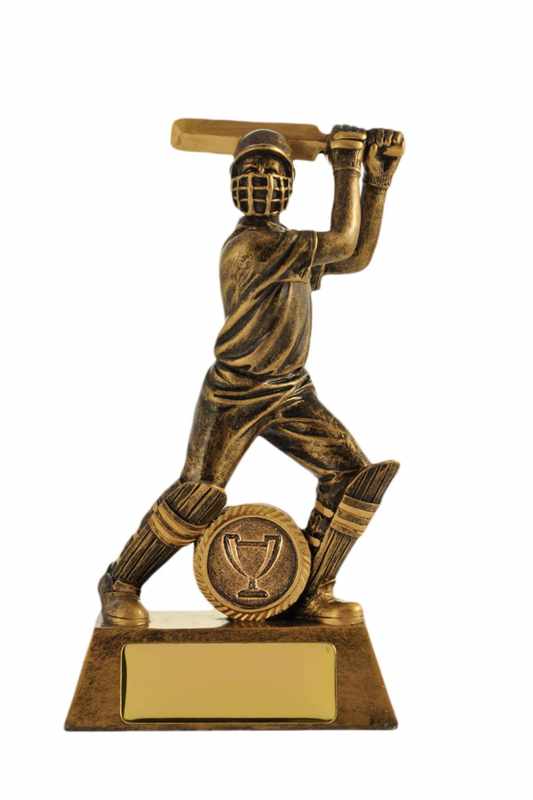 Batsman Cricket Trophy 160mm