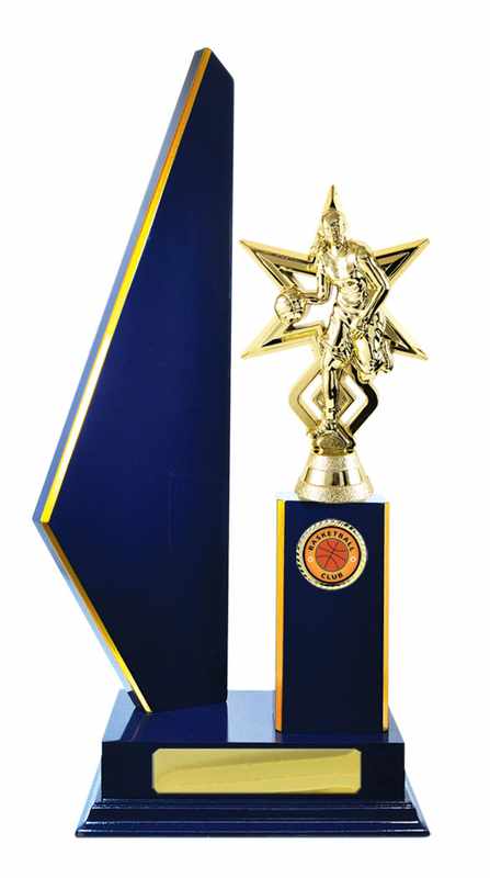 Timber Buildup Basketball