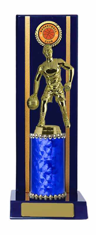 Timber Buildup Basketball