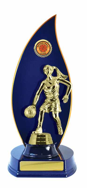 Timber Buildup Basketball