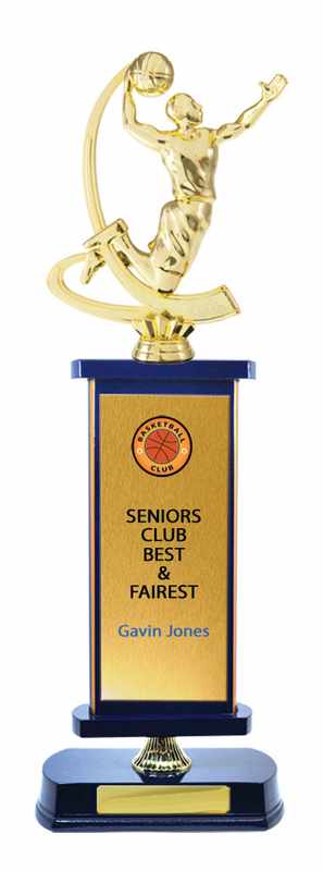 Timber Buildup Basketball