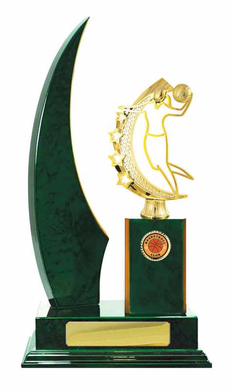 Timber Buildup Basketball