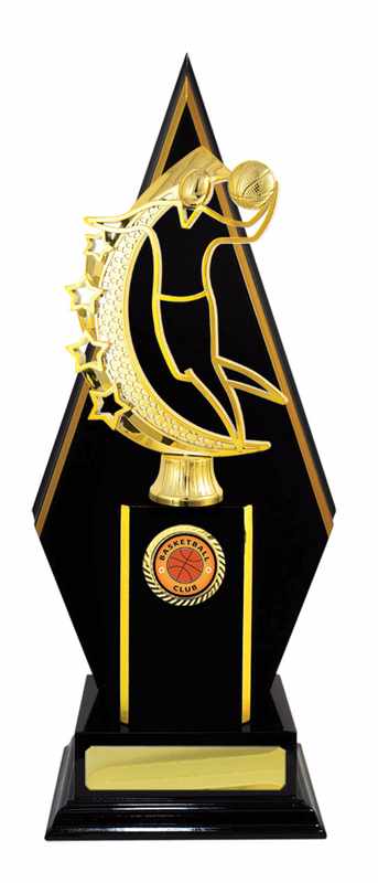 Timber Buildup Basketball