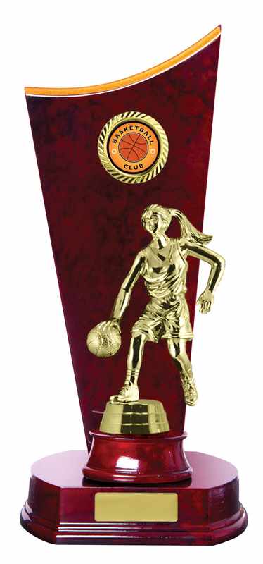 Timber Buildup Basketball