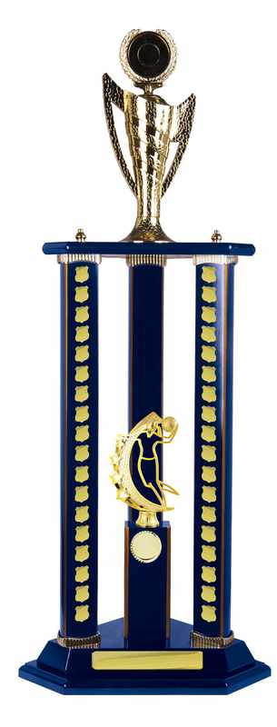 Timber Buildup Basketball