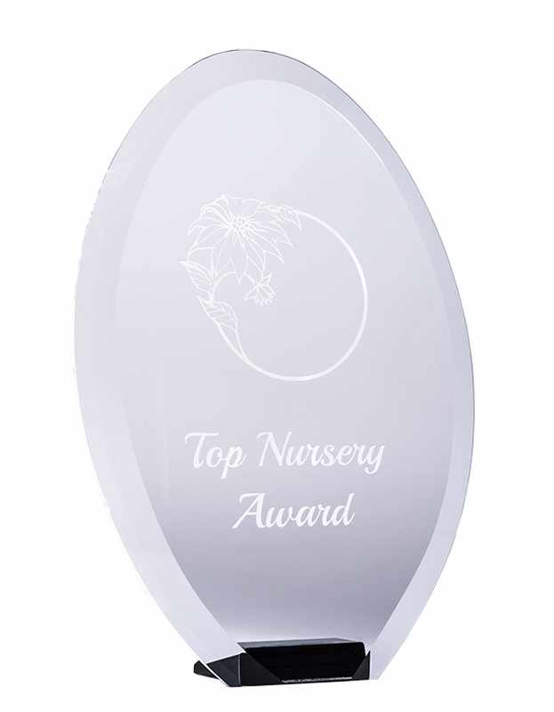Oval Glass Award 180mm