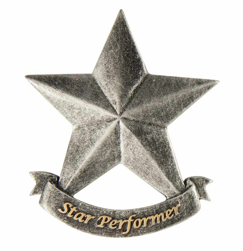 EziRez Fig. Star Performer