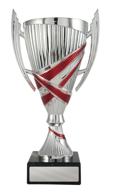Red/Silver Cup