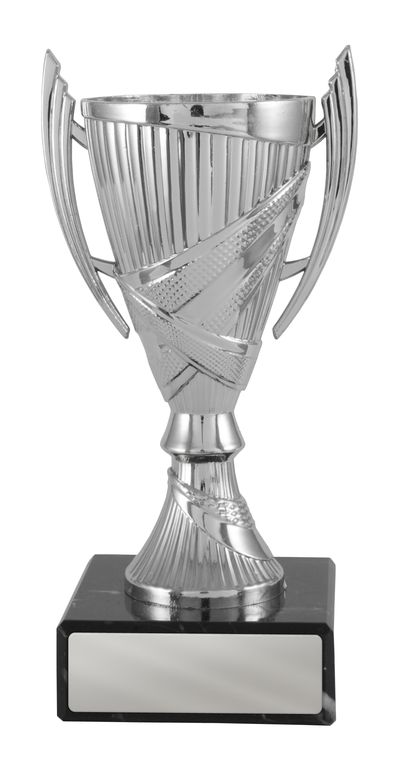 Silver Cup