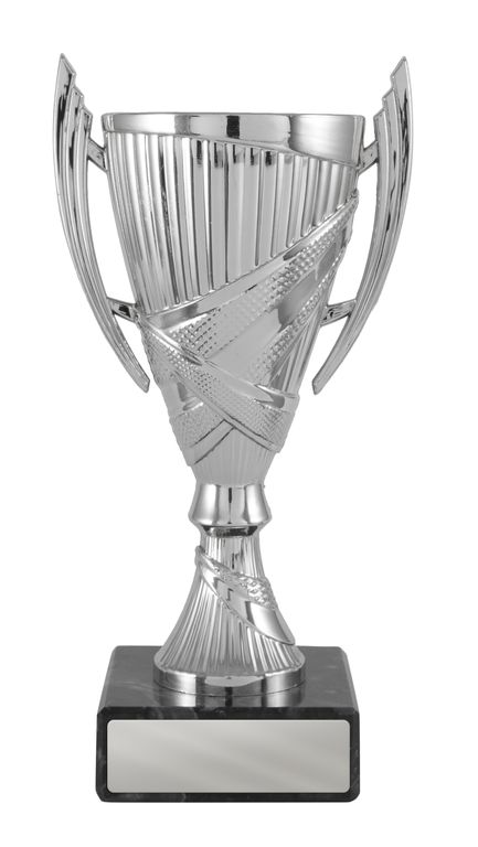 Silver Cup