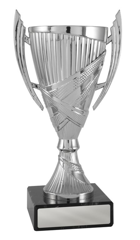 Silver Cup