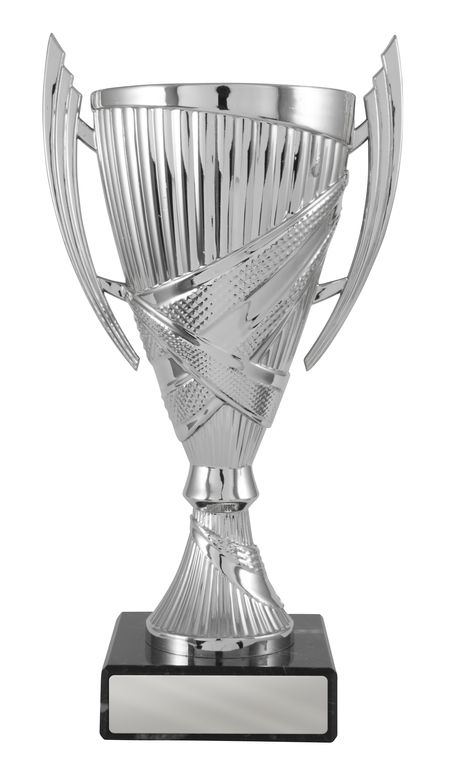 Silver Cup