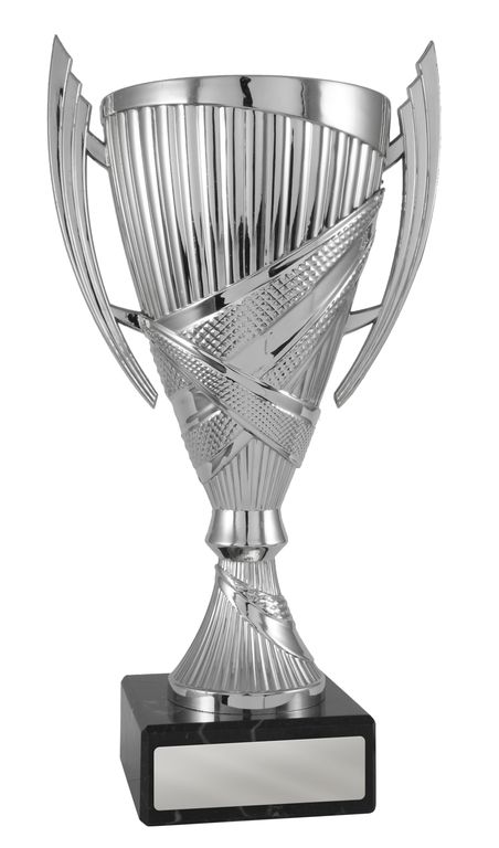 Silver Cup