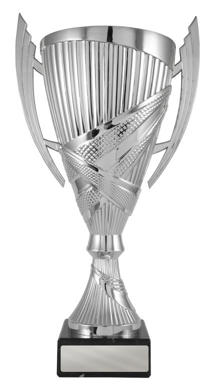 Silver Cup