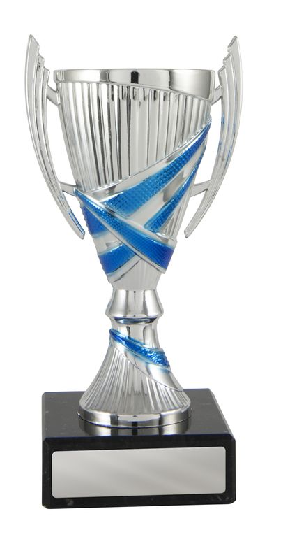 Blue/Silver Cup