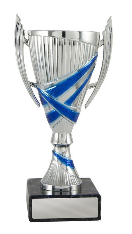 Blue/Silver Cup