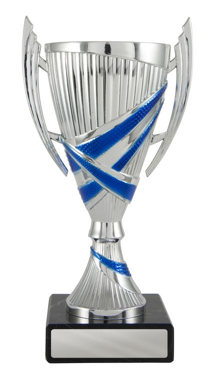 Blue/Silver Cup