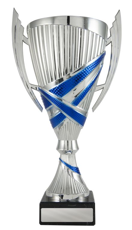 Blue/Silver Cup