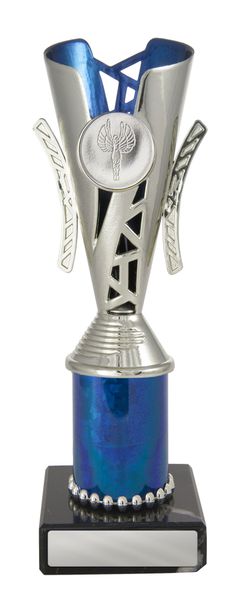 Blue/Silver Cup