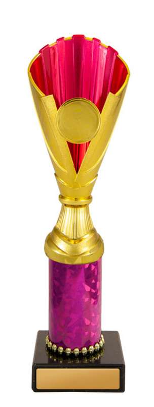 Norwood Cup