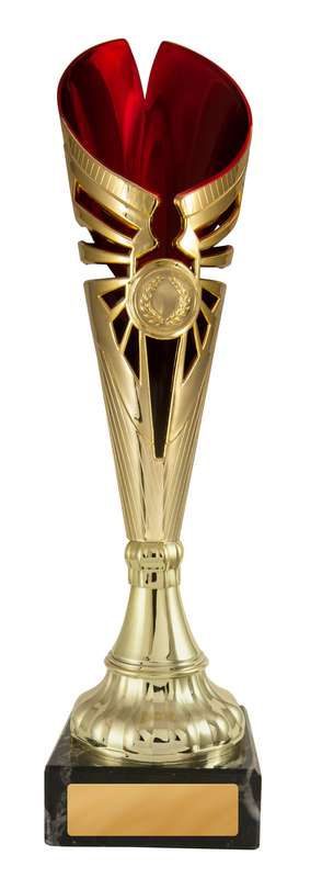 Angelico Cup