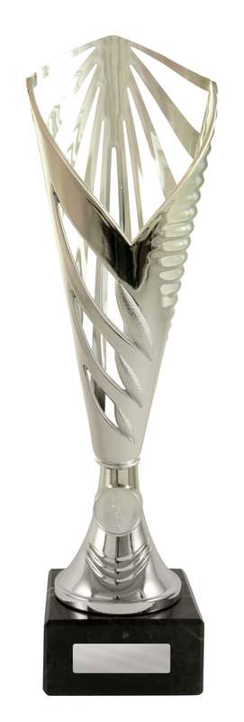 Aerius Cup