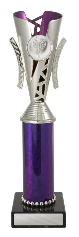 Festival Cup