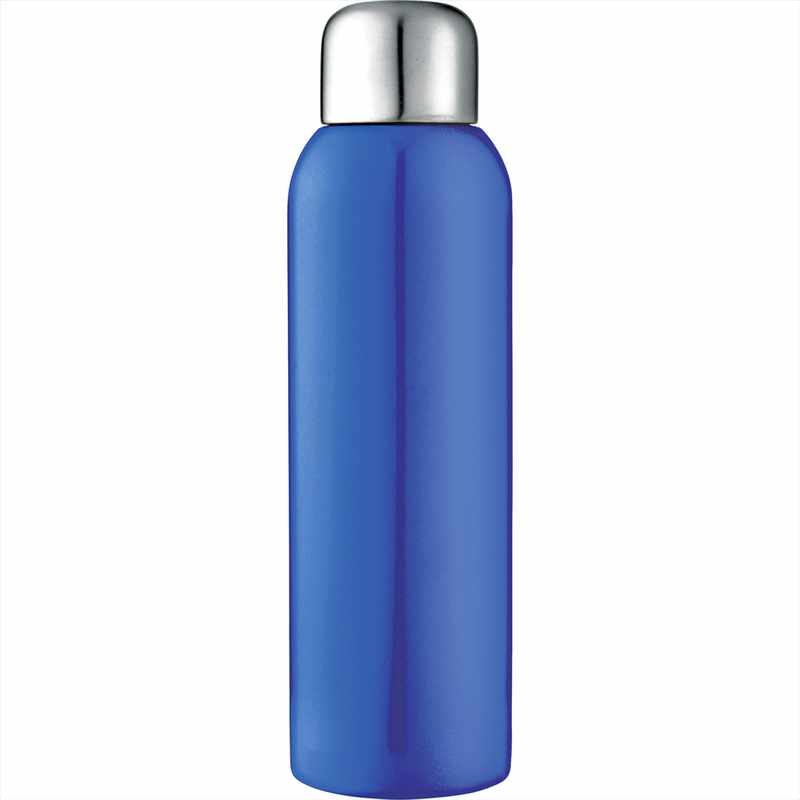 Stainless Sports Bottle