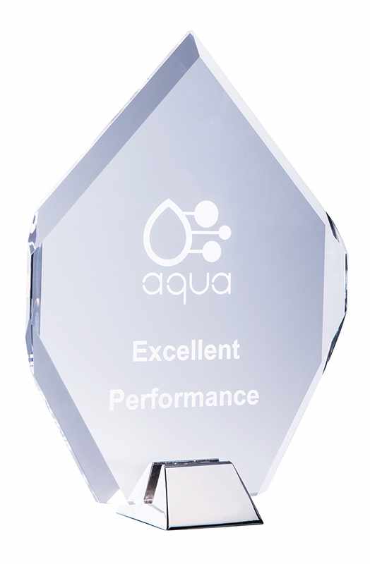 Heptagon Acrylic Award 160mm