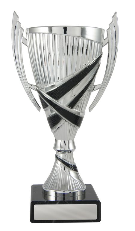 Silver/Black Cup