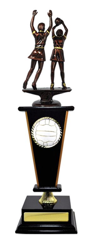Timber Wedge Netball trophy with 50mm Centre