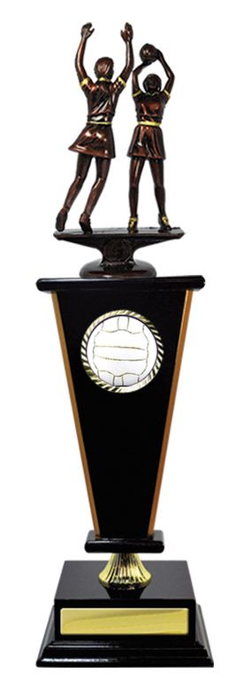 Timber Wedge Netball trophy with 50mm Centre
